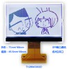 LCD液晶顯示屏12864圖形點陣COG結(jié)構(gòu)